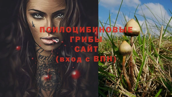 прущие грибы Арсеньев