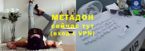 прущие грибы Арсеньев