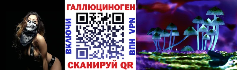Галлюциногенные грибы Cubensis Купить закладки Нерчинск